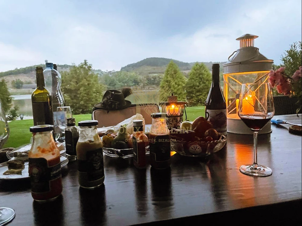TÓPARTI LUXUS VILLA VARSÁDON