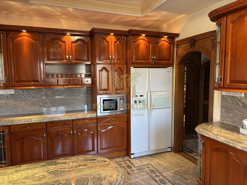 Luxus villa Dunakeszin VONZÓ ÁRON