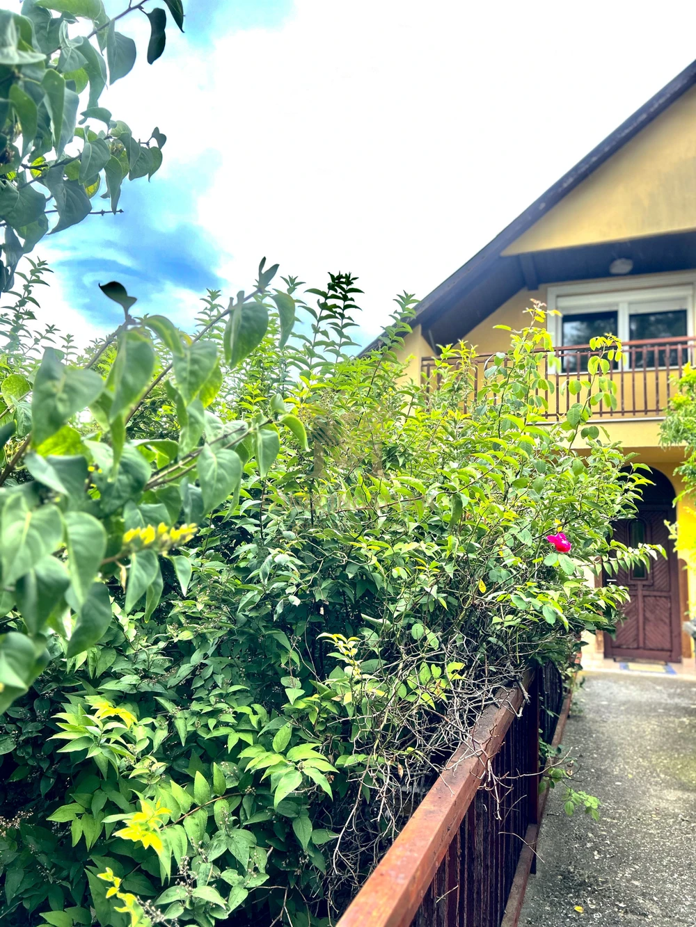 Legyen Ön a következő PANZIÓ TULAJDONOSA Noszvajon!