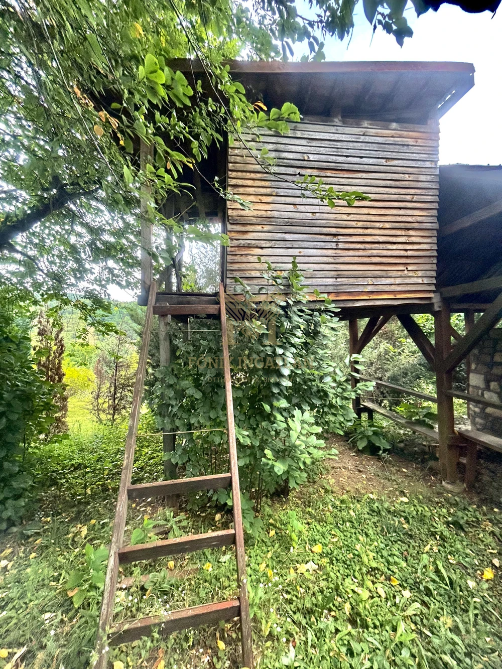 Legyen Ön a következő PANZIÓ TULAJDONOSA Noszvajon!