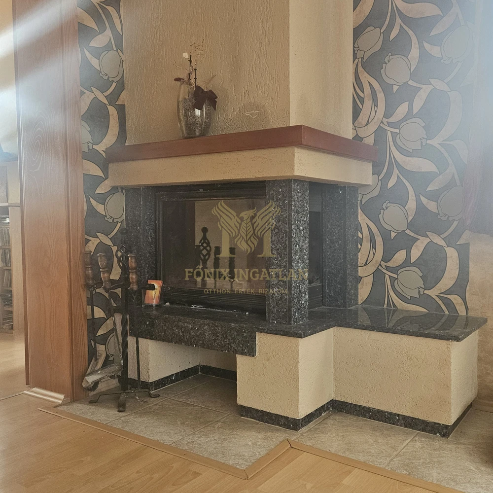 Dabasi Családi ház Wellness részleggel