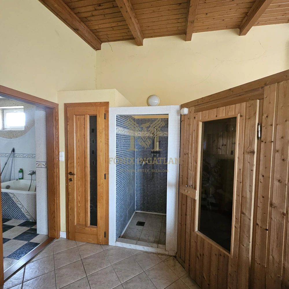 Dabasi Családi ház Wellness részleggel