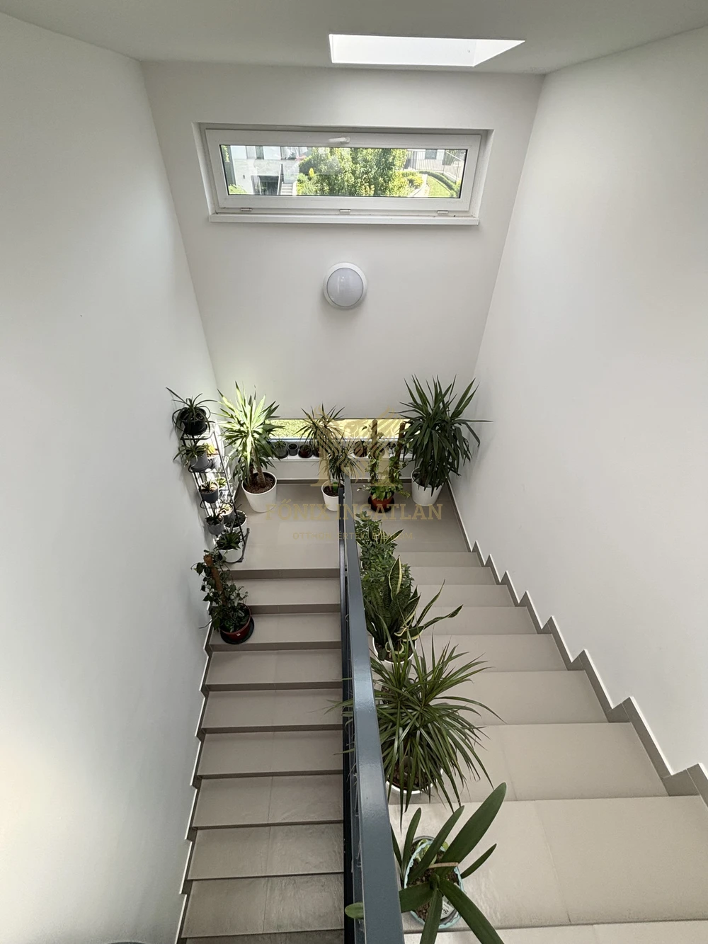 Különleges körpanorámás luxus penthouse lakás Madárhegyen