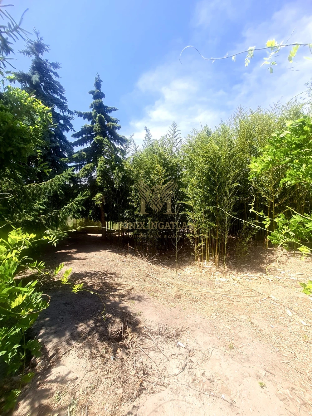 MINIBIRTOK DABAS, GYÓN VÁROSKÖZPONTBAN ELADÓ!