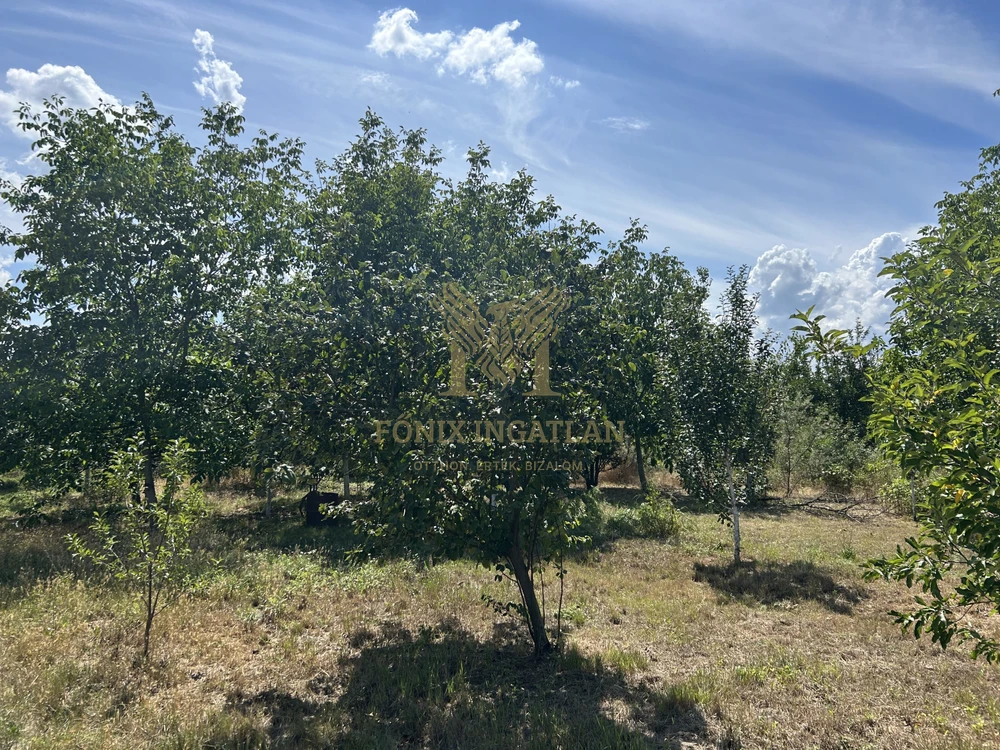 Zártkert Hajdúszoboszlón