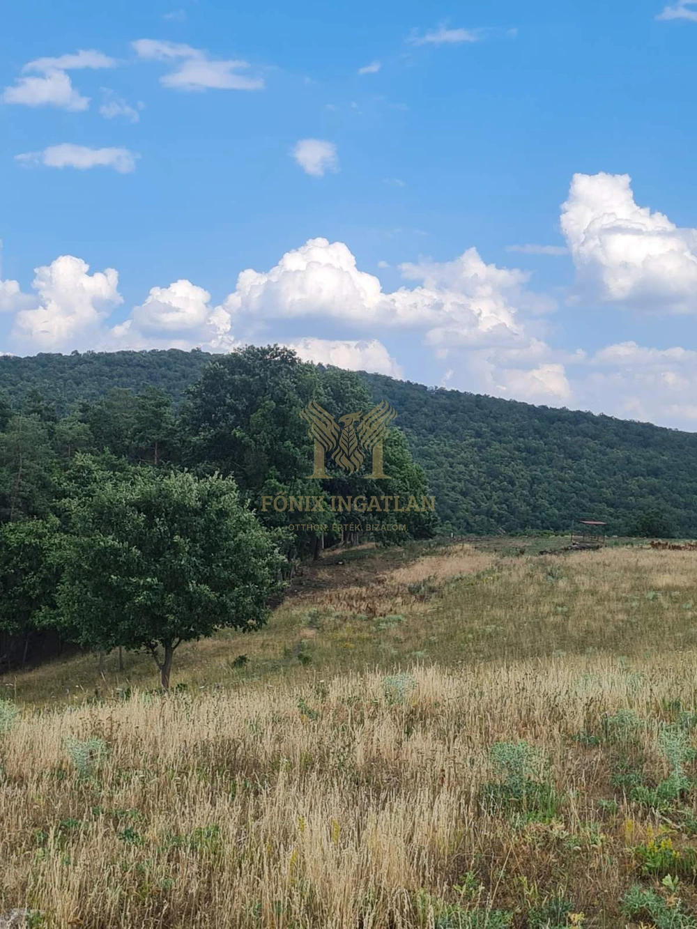 Panorámás fejlesztési telkek Szokolyán, erdővel – befektetőknek, természetközeli álomprojekthez!