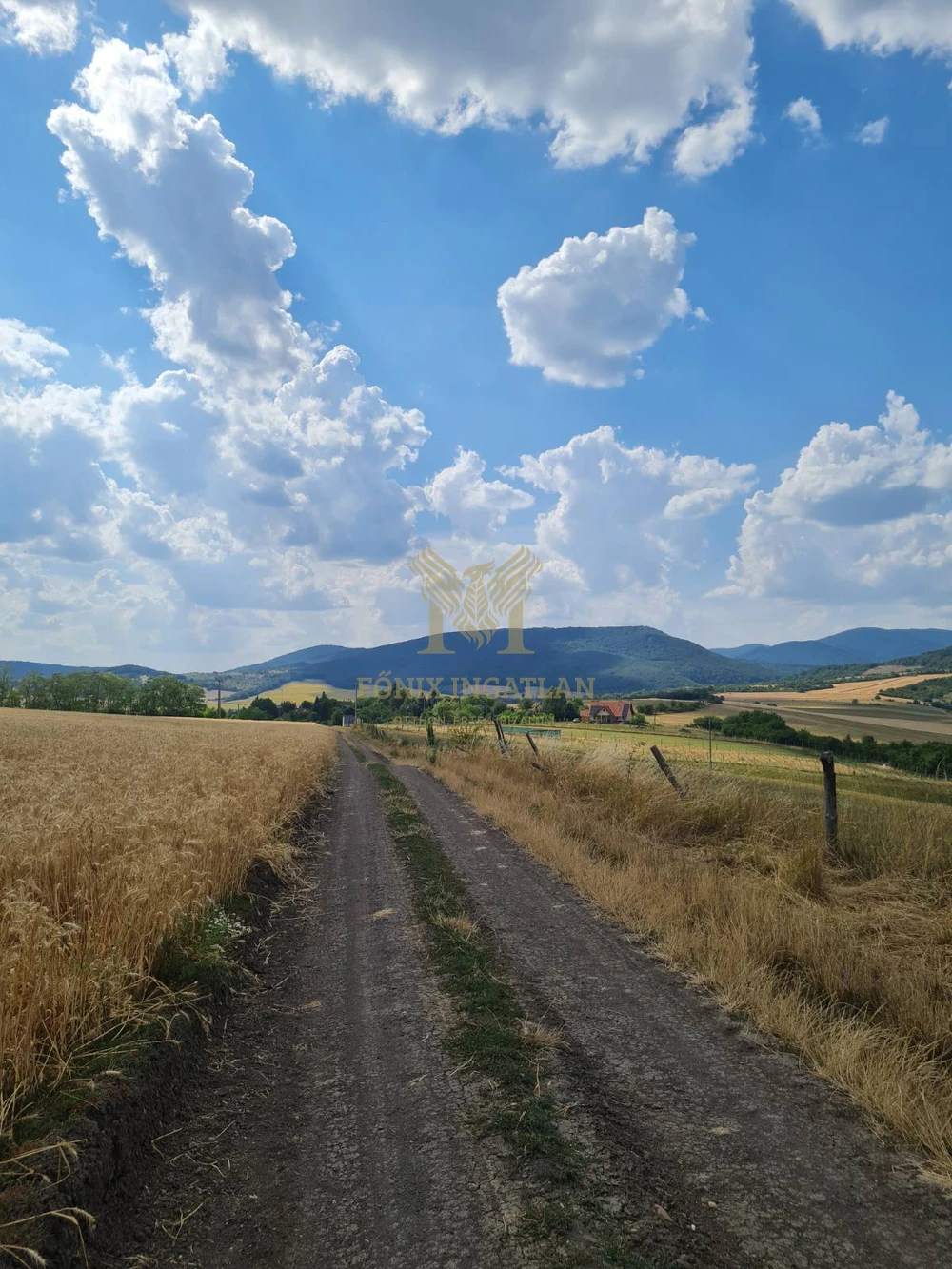 Panorámás fejlesztési telkek Szokolyán, erdővel – befektetőknek, természetközeli álomprojekthez!