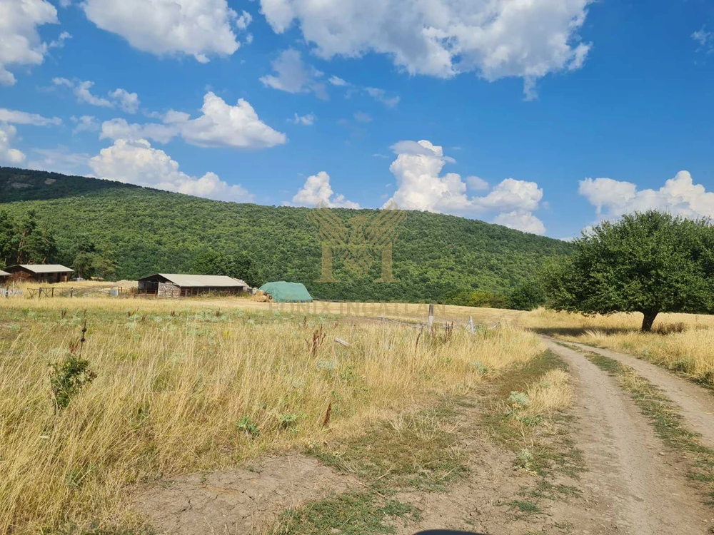 Panorámás fejlesztési telkek Szokolyán, erdővel – befektetőknek, természetközeli álomprojekthez!
