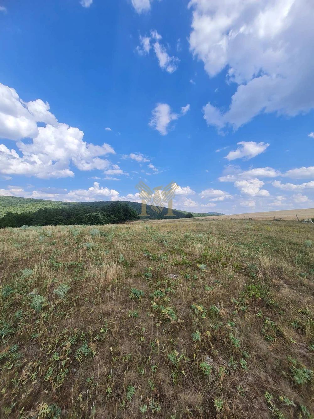 Panorámás fejlesztési telkek Szokolyán, erdővel – befektetőknek, természetközeli álomprojekthez!