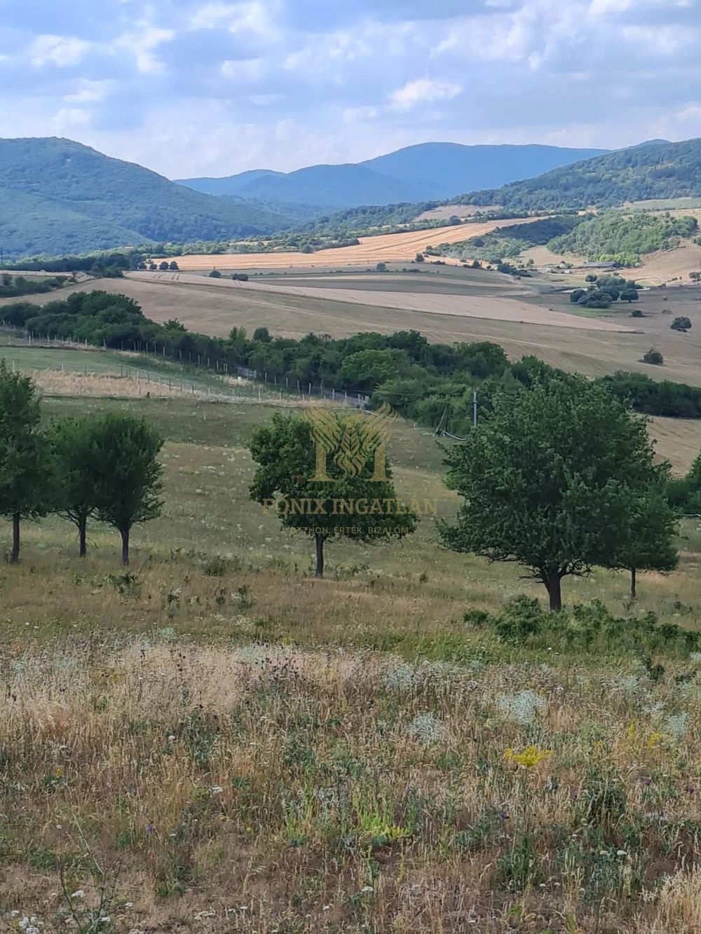 Panorámás fejlesztési telkek Szokolyán, erdővel – befektetőknek, természetközeli álomprojekthez!