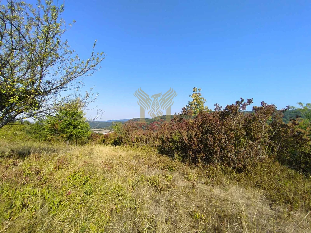 Panorámás külterületi telek eladó Verőcén, Fehérhegyi-dűlőn