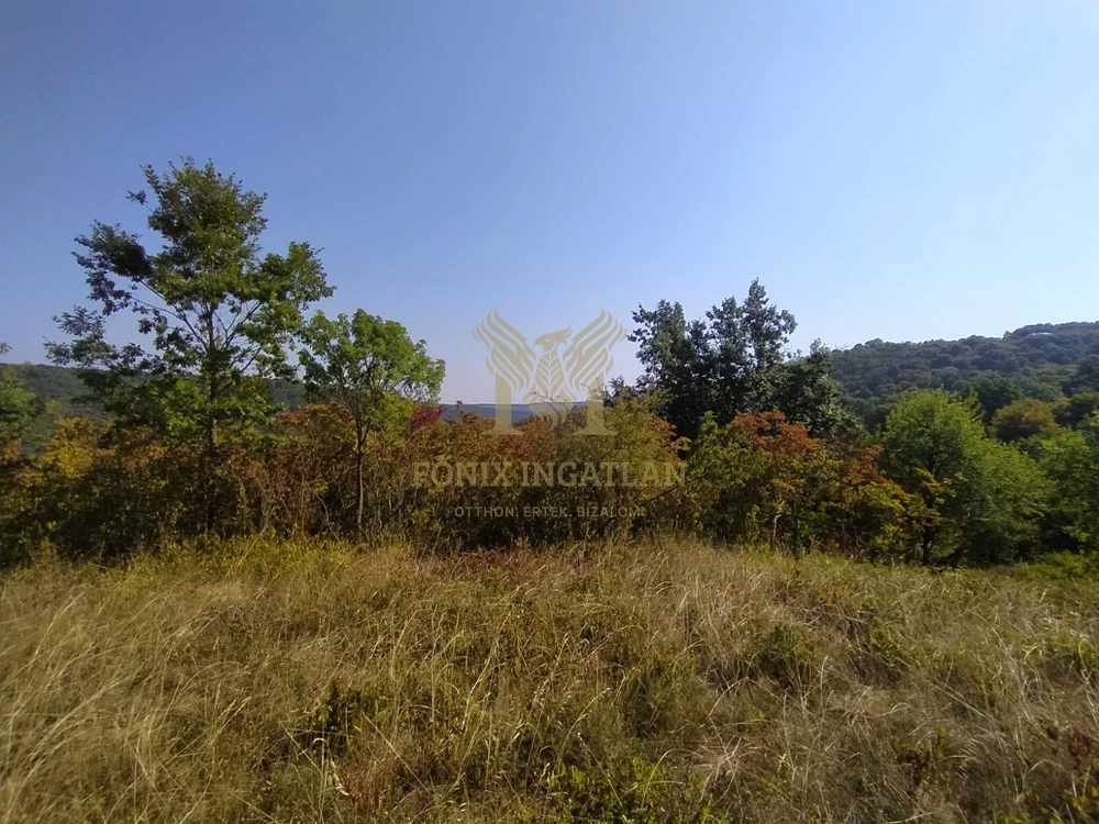 Panorámás külterületi telek eladó Verőcén, Fehérhegyi-dűlőn