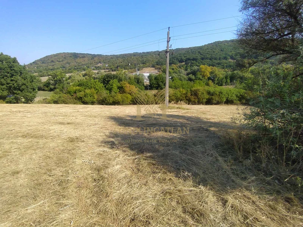 Dunára néző külterületi telek eladó Verőcén, a Fehérhegyi-dűlőn