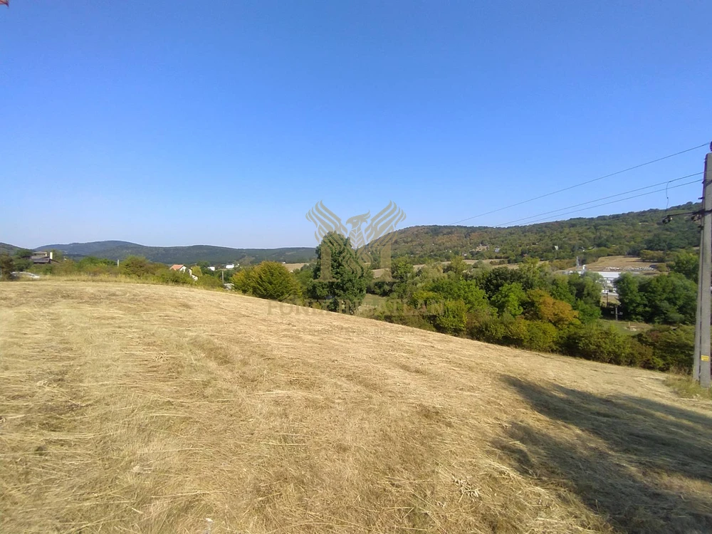 Dunára néző külterületi telek eladó Verőcén, a Fehérhegyi-dűlőn