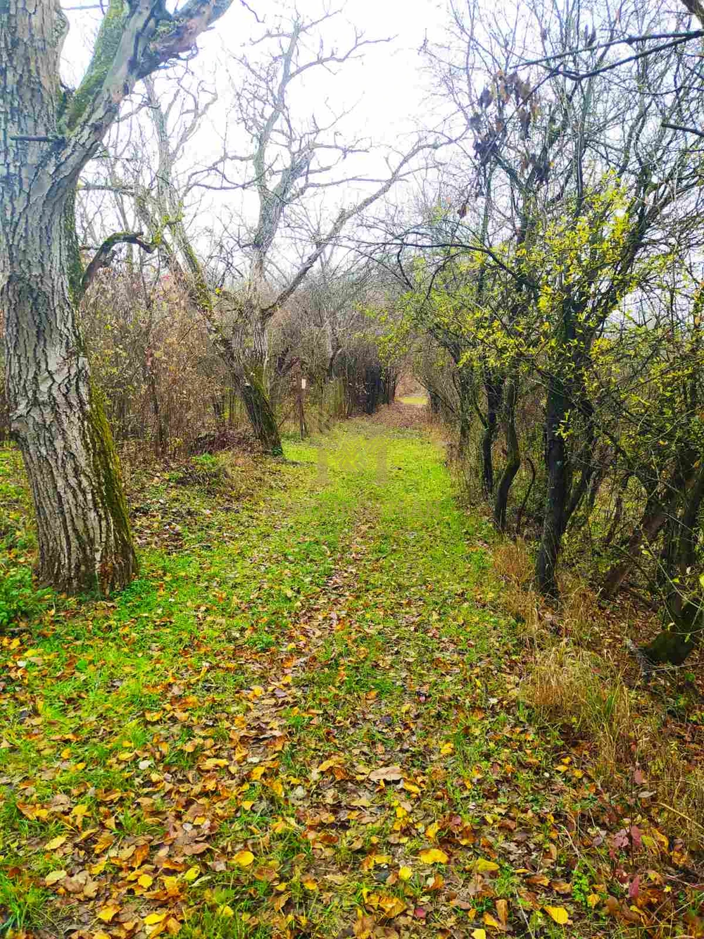 Verőce Csendes-völgyében külterületi telkek eladók!