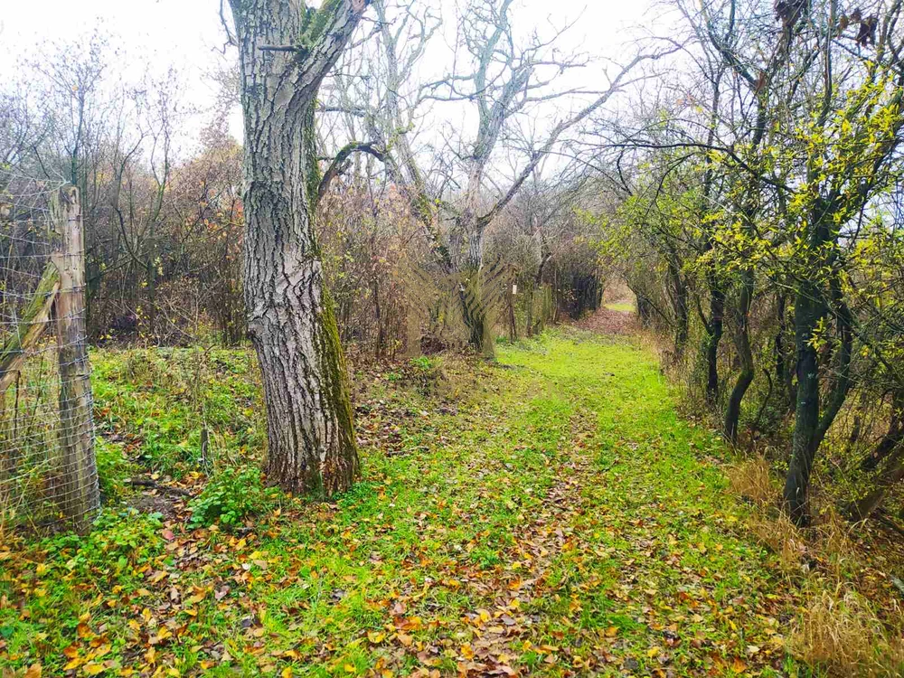 Verőce Csendes-völgyében külterületi telkek eladók!