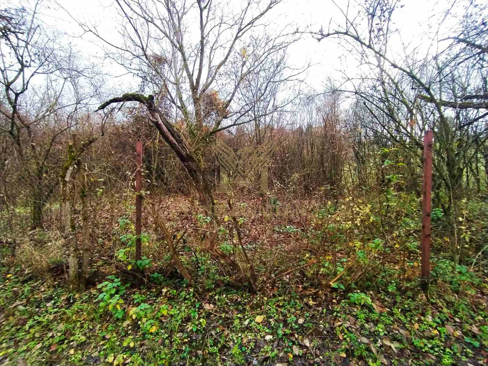 Verőce Csendes-völgyében külterületi telkek eladók!