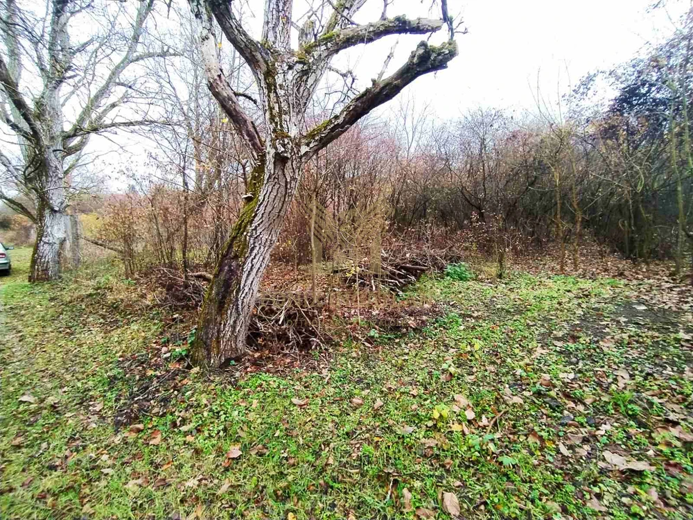 Verőce Csendes-völgyében külterületi telkek eladók!