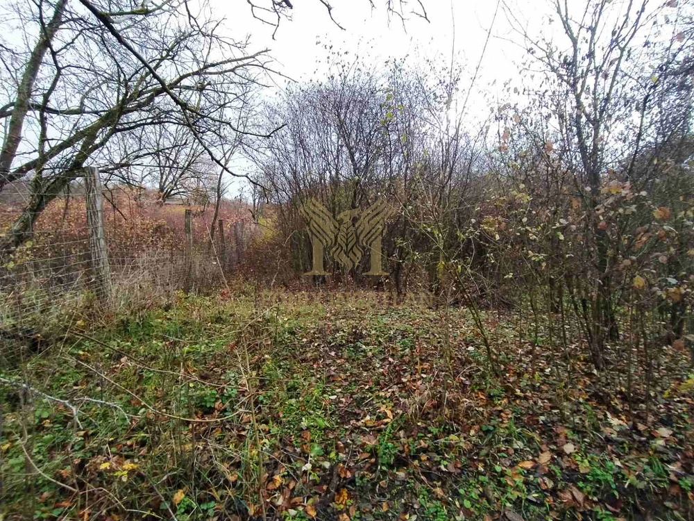 Verőce Csendes-völgyében külterületi telkek eladók!