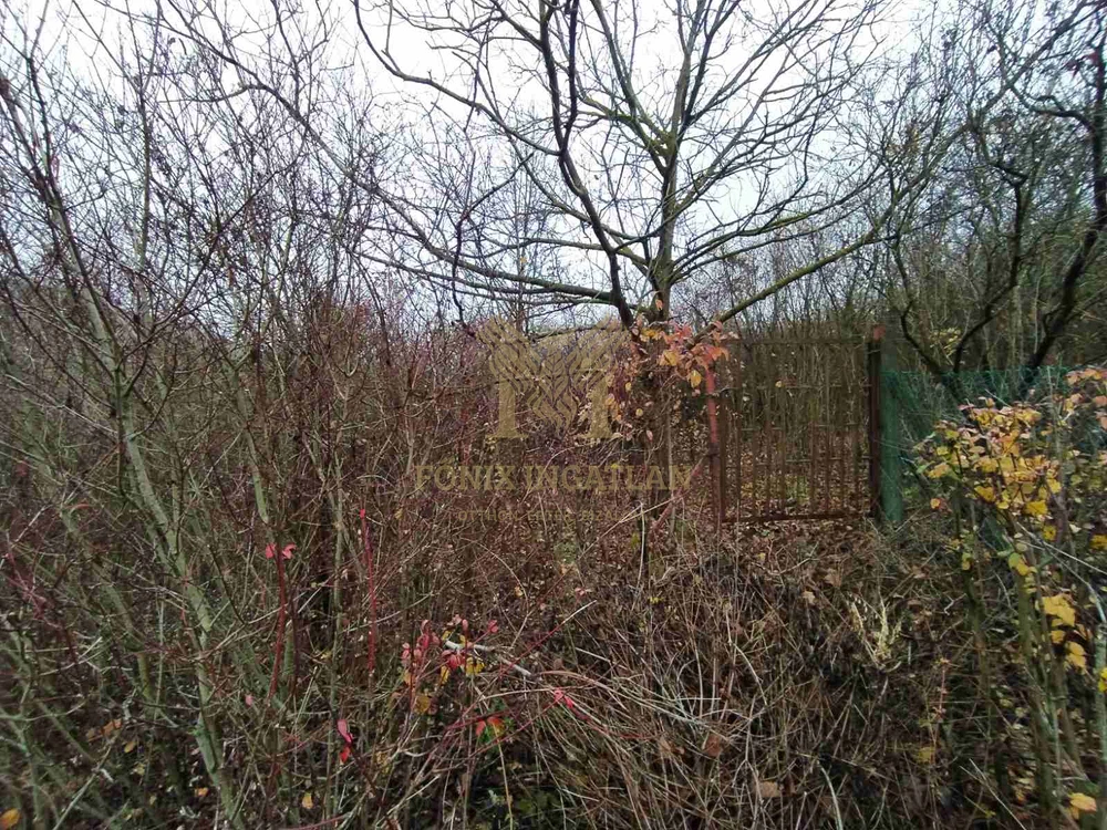 Verőce Csendes-völgyében külterületi telkek eladók!