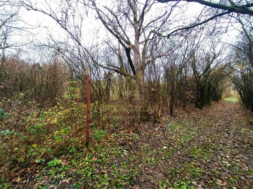 Verőce Csendes-völgyében külterületi telkek eladók!