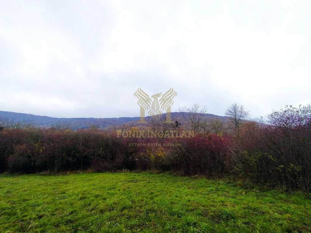 Verőce Csendes-völgyében külterületi telkek eladók!