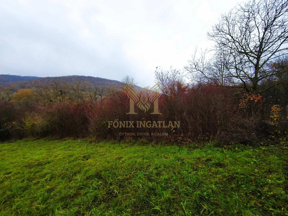 Verőce Csendes-völgyében külterületi telkek eladók!