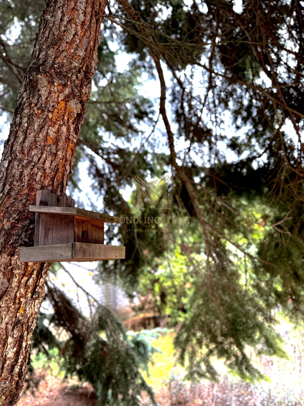 KÜLÖNLEGES CSALÁDI BIRTOK ELADÓ DEBRECEN, JÓZSA VÁROSRÉSZEN!