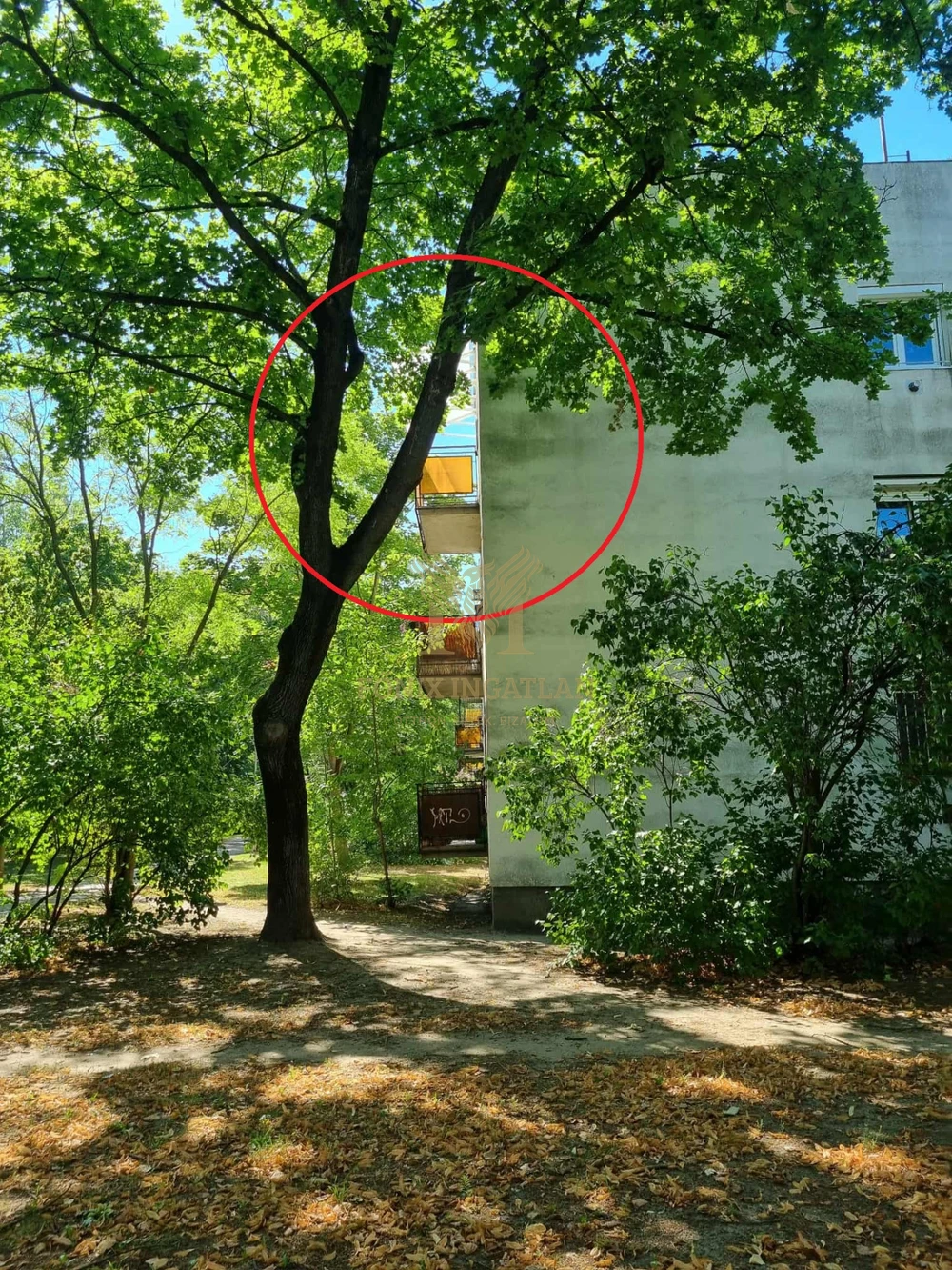 Kiváló elrendezésű, felújítandó lakás eladó  a Szent Imre utcában