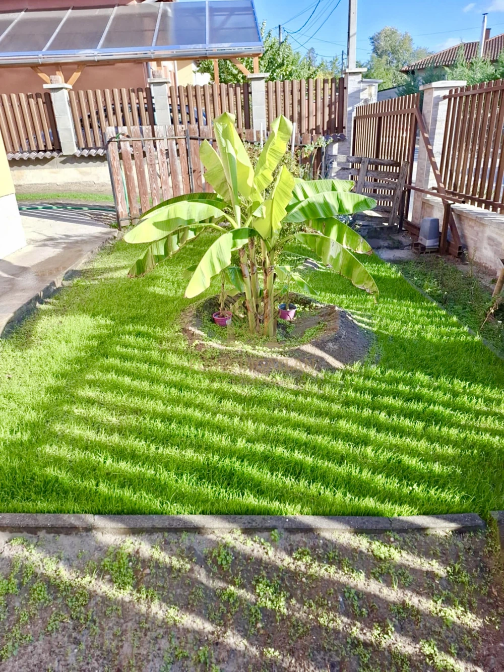 NAPELEMES, KLIMATIZÁLT IKERHÁZ KERTVÁROSI KÖRNYEZETBEN