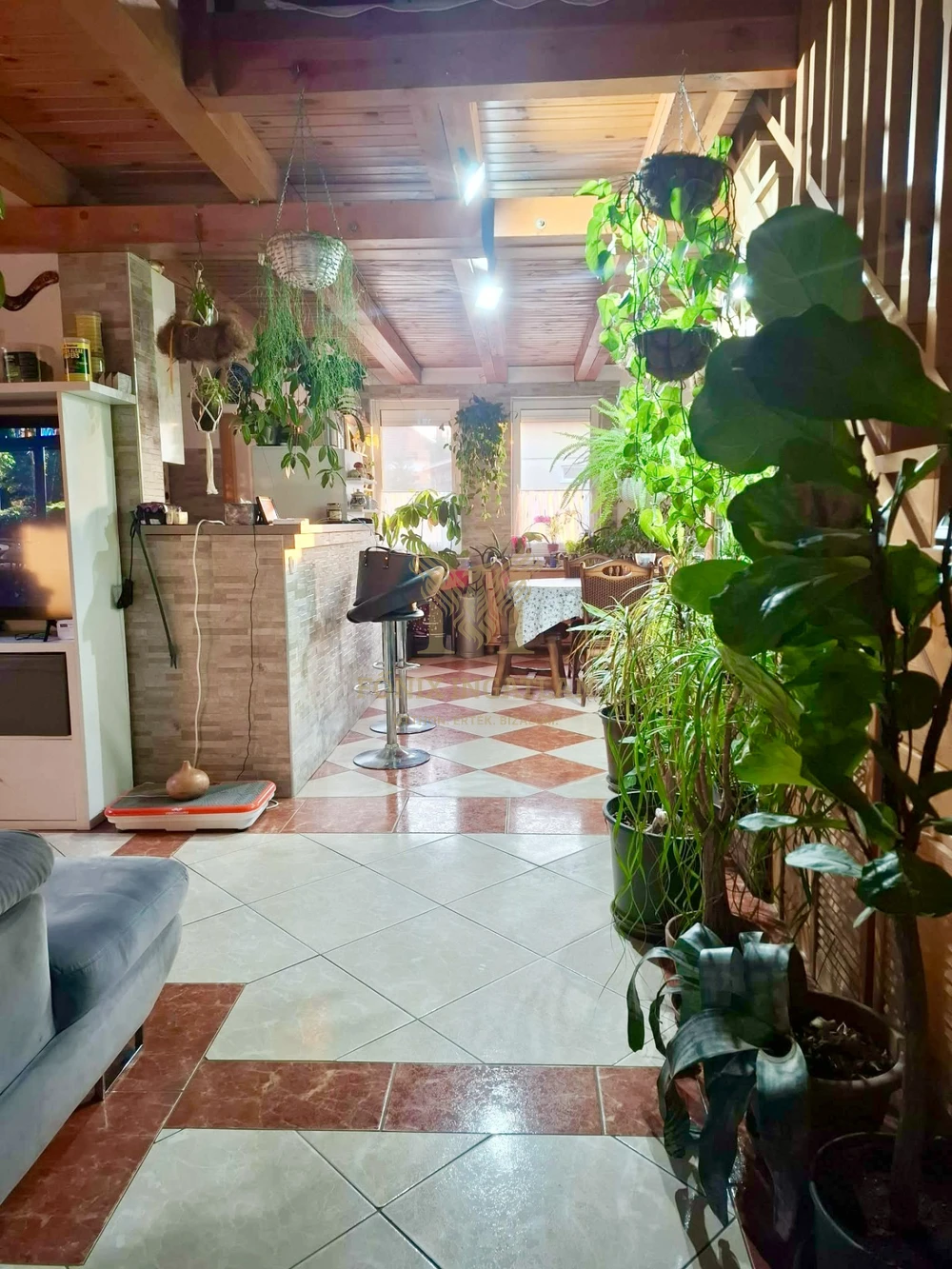 NAPELEMES, KLIMATIZÁLT IKERHÁZ KERTVÁROSI KÖRNYEZETBEN