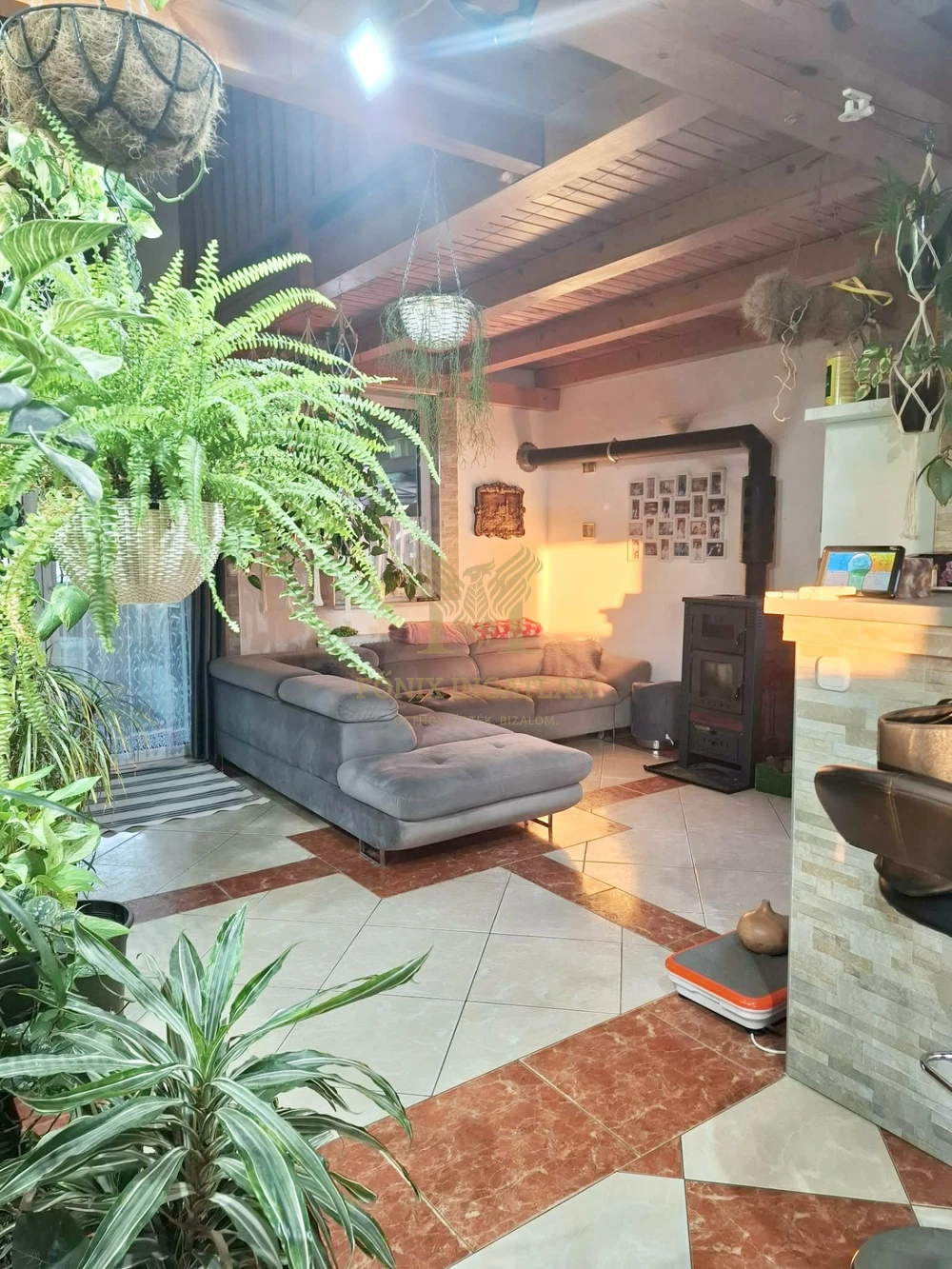 NAPELEMES, KLIMATIZÁLT IKERHÁZ KERTVÁROSI KÖRNYEZETBEN