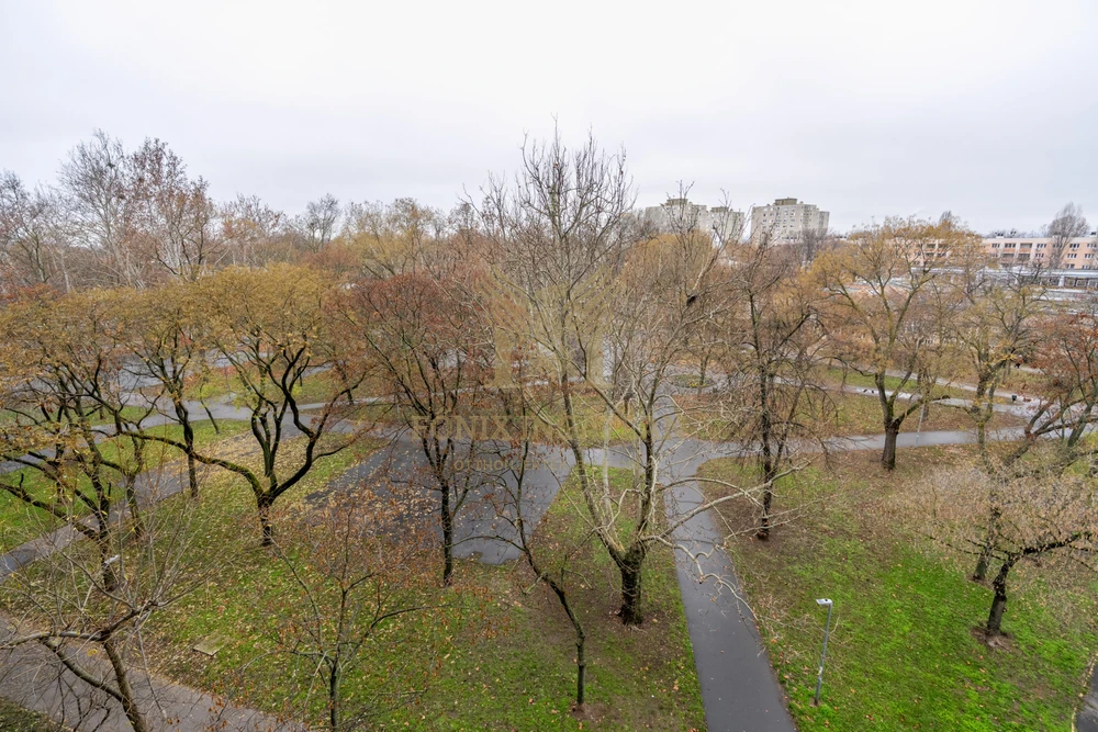 NAPFÉNYES, TÁGAS OTTHON PARKRA NÉZŐ KILÁTÁSSAL – 4. EMELET, LIFTES HÁZBAN!