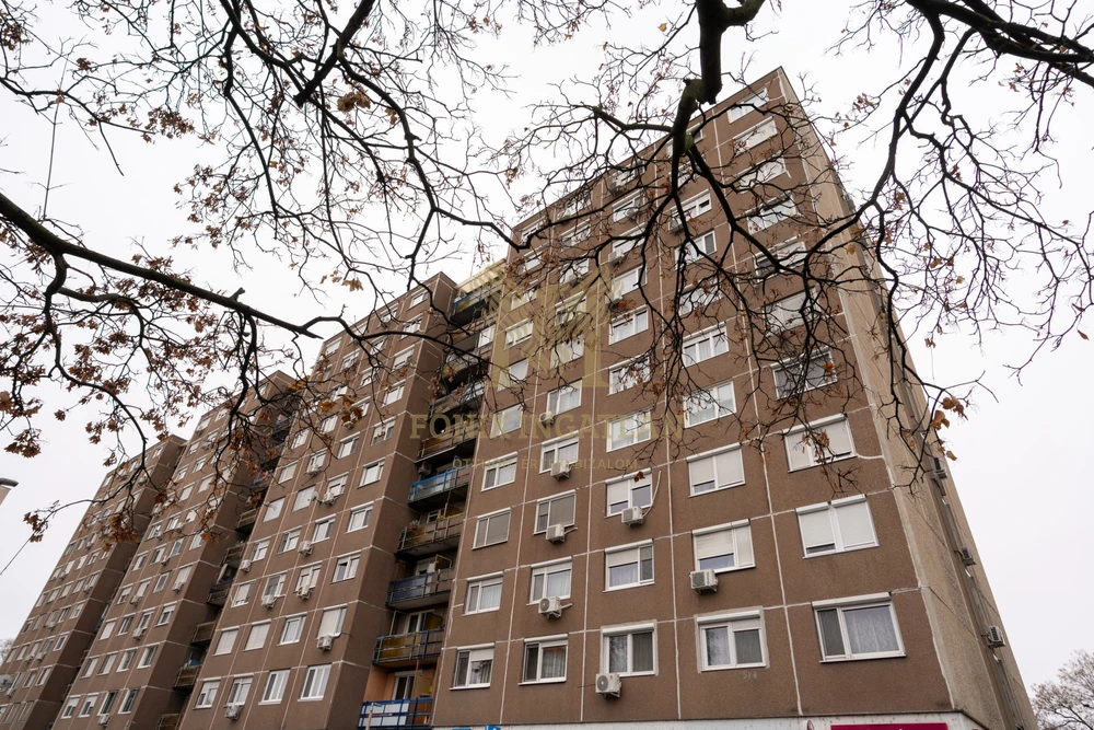 NAPFÉNYES, TÁGAS OTTHON PARKRA NÉZŐ KILÁTÁSSAL – 4. EMELET, LIFTES HÁZBAN!