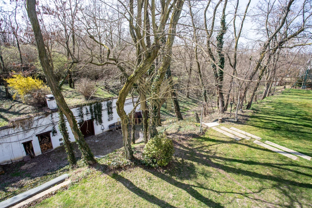 Exkluzív privát birtok Pátyon – kompromisszumok nélküli luxus 20 percre Budapesttől