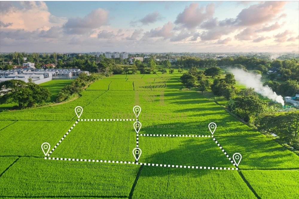 Kivételes lehetőség Rozsrétszőlőn - nagy telek, kiváló adottságokkal!