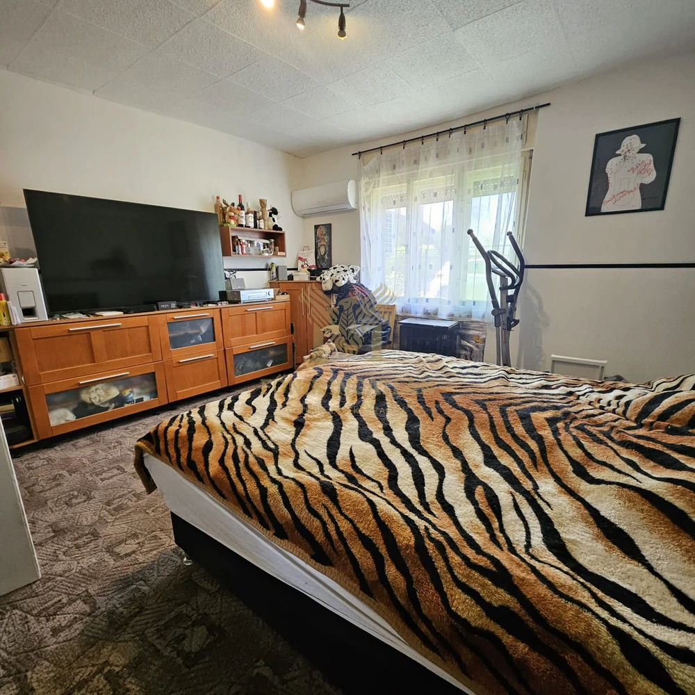 Kiváló befektetési lehetőség nagy telekkel Dömsödön